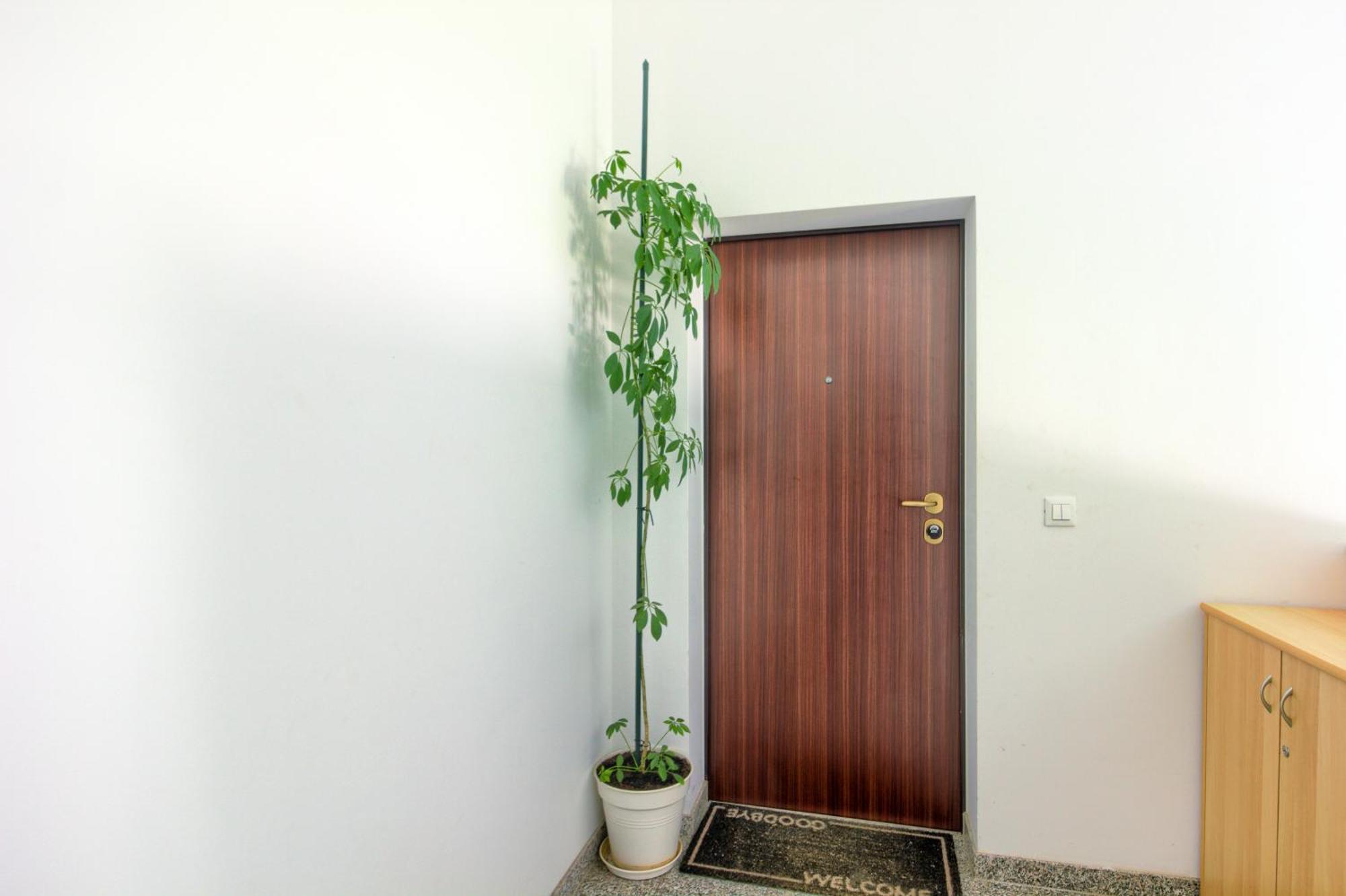 Apartments Zara Kültér fotó